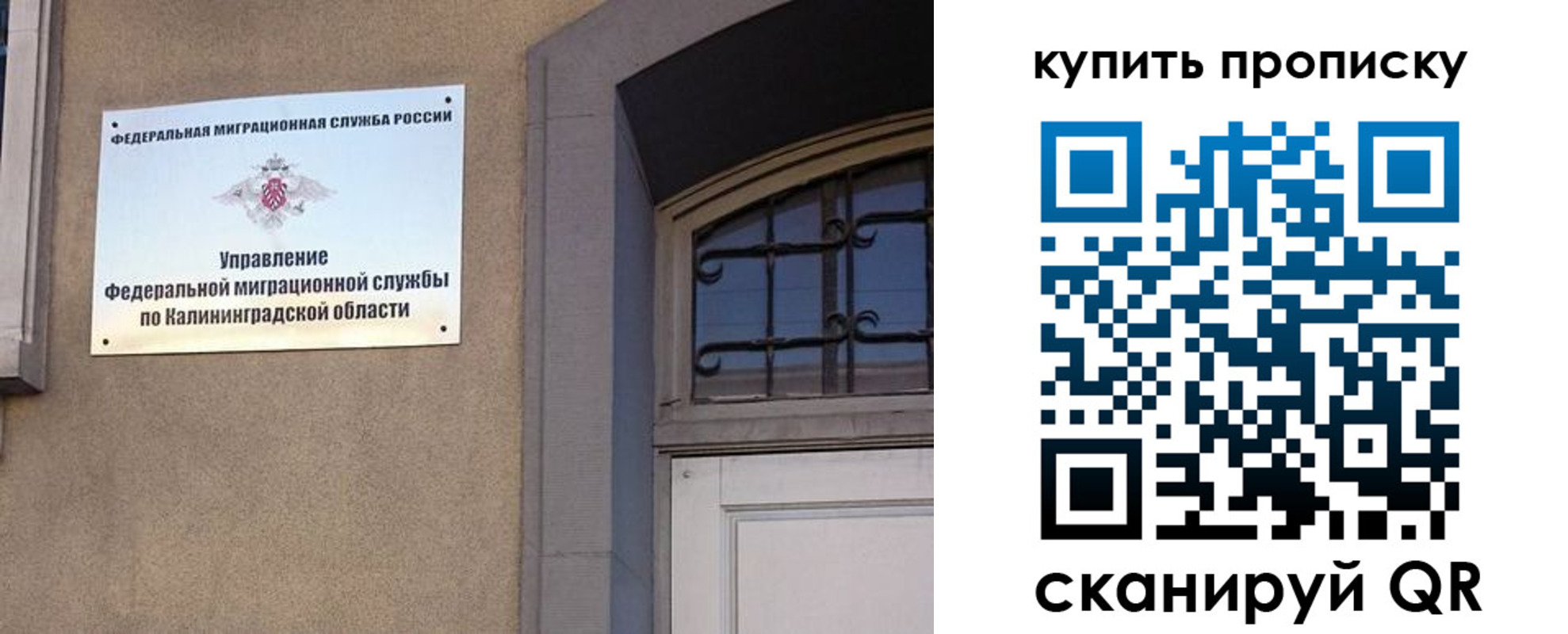 регистрация для школы в Кингисеппе